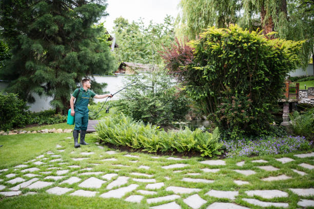Pest Prevention Services in Myrtle Creek, OR