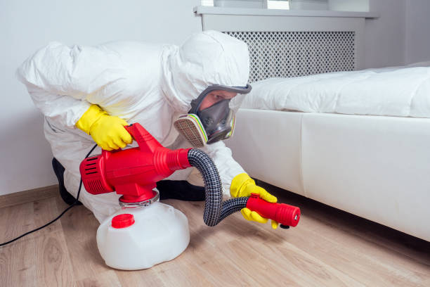 Best Affordable Pest Control Services  in Myrtle Creek, OR