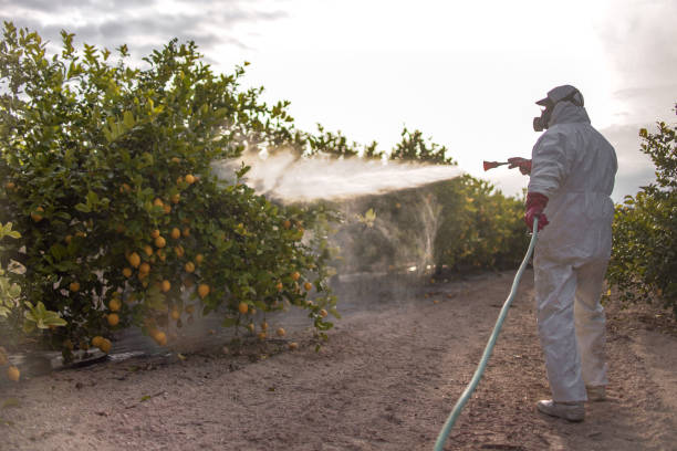Best Wildlife Control Services  in Myrtle Creek, OR