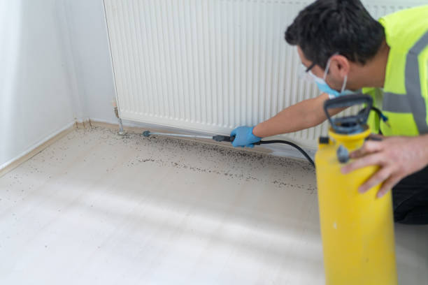 Best Termite Control Services  in Myrtle Creek, OR